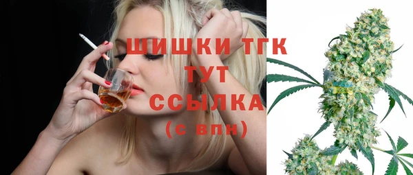 индика Карталы