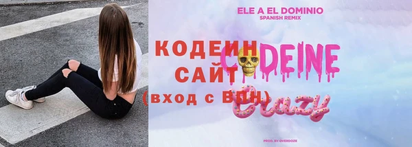 индика Карталы