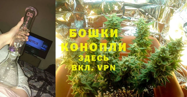 индика Карталы