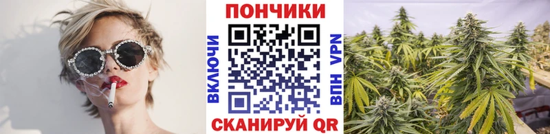 Канабис OG Kush  Купить  Мышкин 
